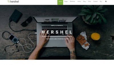 Best WordPress Themes for Business 2016