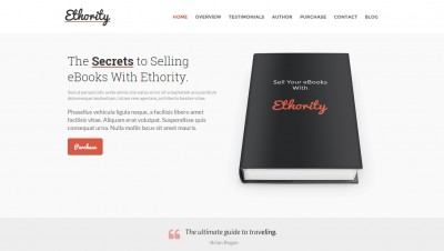 WordPress Themes for Authors and Book Launch Website